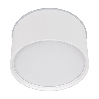 Светильник SP-CYLINDO-R160-18W Day4000 (WH, 110 deg, 230V) (Arlight, IP54 Металл, 3 года)