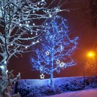 Гирлянда Клип Лайт Спайдер D5203 BD 5х20 м 1000 LED IP44 синий