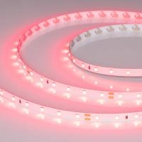 Лента RT-A60-8mm 24V Ruby (4.8 W/m, IP20, 5m) (Arlight, -)