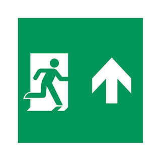 Пиктограмма EMGP-MARK-MA-UP (Человек, Вверх) (Arlight, Пластик)
