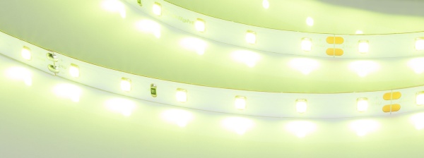 Лента RT-A60-8mm 24V Spring Green (4.8 W/m, IP20, 5m) (Arlight, -)