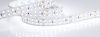 Лента RT 2-5000 24V White6000 2x2 (3528, 1200 LED, LUX) (Arlight, 19.2 Вт/м, IP20)