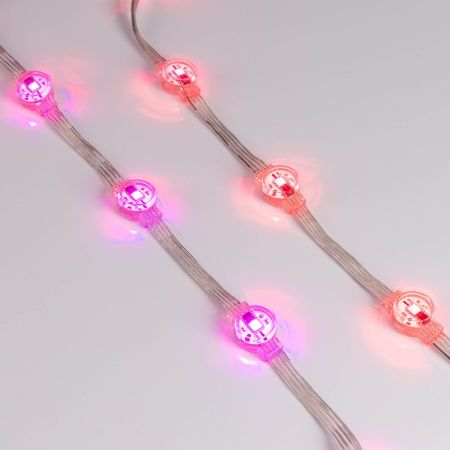 Модуль управляемый DMX-B1-D20 12V RGB (0.3W, IP68, 120 deg) (Arlight, Пластик, 3 года)