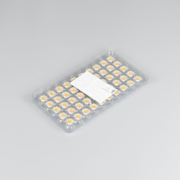 Мощный светодиод ARPL-12W-TFA-1414-Warm2700-90 (34v, 360mA) (Arlight, 13.5х13.5мм (матрица)) Мощный светодиод ARPL-12W-TFA-1414-Warm2700-90 (34v, 360mA) (Arlight, 13.5х13.5мм (матрица))