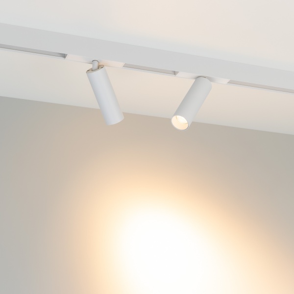 Светильник MAG-SPOT-25-R120-12W Warm3000 (WH, 30 deg, 24V) (Arlight, IP20 Металл, 3 года) Светильник MAG-SPOT-25-R120-12W Warm3000 (WH, 30 deg, 24V) (Arlight, IP20 Металл, 3 года)