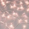 Светодиодная гирлянда ARD-STRING-CLASSIC-1000-CLEAR-100LED-PULSE Rose Gold (230V, 7W) (Ardecoled, IP65)