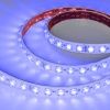 Лента герметичная FLT-PS-S42-23mm 24V RGB (21 W/m, IP67, 15deg, 5m) (Arlight, -)