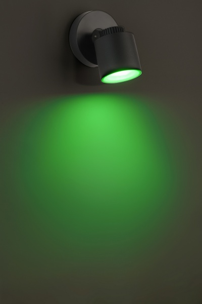 Настенный светильник Lutec, Темно-серый, Модерн, W6092 WiZ Gr