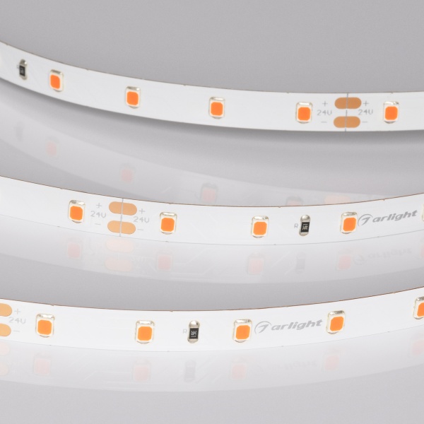 Лента RT-A60-8mm 24V Ruby (4.8 W/m, IP20, 5m) (Arlight, -)