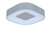 Настенно-потолочный светильник Lutec, Светло-серый    , Модерн, W3501L-3K S