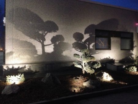 Подсветка деревьев OASIS LIGHT, Темно-серый         , Модерн, W12637 Gr