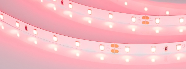 Лента RT-A60-8mm 24V Ruby (4.8 W/m, IP20, 5m) (Arlight, -)