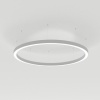 Светильник SP-LINE-HANG-ARC-O3535-D800-65W Day4000 (WHITE, 230V) (Arlight, Металл) Светильник SP-LINE-HANG-ARC-O3535-D800-65W Day4000 (WHITE, 230V) (Arlight, Металл)