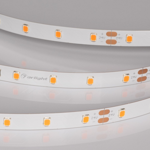 Лента RT-A60-8mm 24V Carrot (4.8 W/m, IP20, 5m) (Arlight, -)