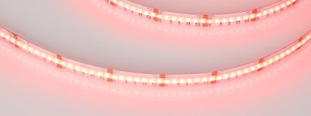 Лента CSP-X840-12mm 24V RGBW-White (17.2 W/m, IP20, 5m) (Arlight, 5 лет)