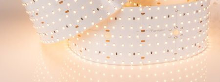 Лента S2-2500 24V Warm 2700K 85mm (2835, 560 LED/m, LUX) (Arlight, 40 Вт/м, IP20)