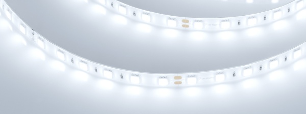 Лента герметичная RTW-SE-B60-10mm 24V White6000 (14.4 W/m, IP65, 5m) (Arlight, -)