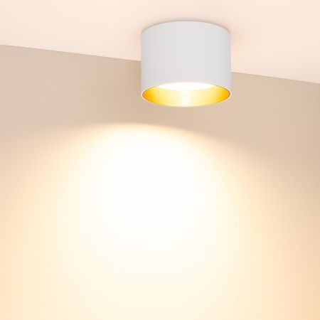 Светильник SP-BISCOTTO-R120-12W Warm3300-MIX (WH-GD, 80 deg, 230V) (Arlight, IP54 Металл, 5 лет)