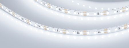 Лента RT-A120-8mm 12V Cool 8K (14.4 W/m, IP20, 2835, 5m) (Arlight, Открытый)