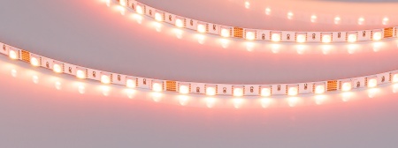 Лента RT-H96-5mm 24V RGBW-Warm-4-in-1 (10 W/m, IP20, 5m) (Arlight, узкая)