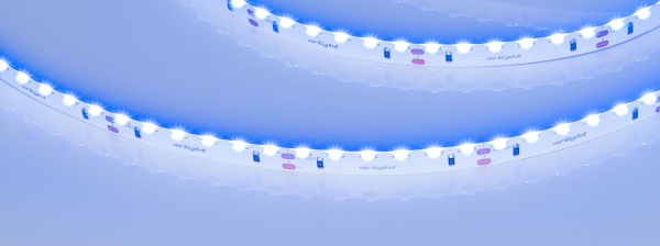 Лента RS-S120-8mm 24V Blue (9.6 W/m, IP20, 3014, 5m) (Arlight, боковое свечение)