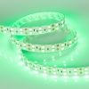 Лента RT 2-5000 24V Green 2x2 (5060, 600 LED, LUX) (Arlight, 28.8 Вт/м, IP20)