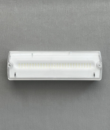 Светильник "Световой указатель", WC2500, 220V 4W 27 Led белого цвета  IP65, корпус белый