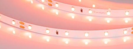 Лента RT-A60-8mm 24V Carrot (4.8 W/m, IP20, 5m) (Arlight, -)