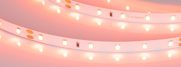 Лента RT-A60-8mm 24V Carrot (4.8 W/m, IP20, 5m) (Arlight, -)