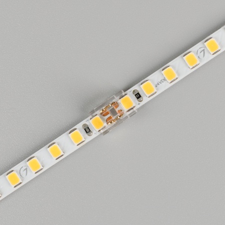 Коннектор FIX-MONO-5mm-2pin-STS  (Arlight, Прозрачный) Коннектор FIX-MONO-5mm-2pin-STS  (Arlight, Прозрачный)