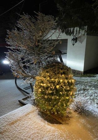 Гирлянда светодиодная сетка D2101 BS 2х1 м 200 LED теплый белый