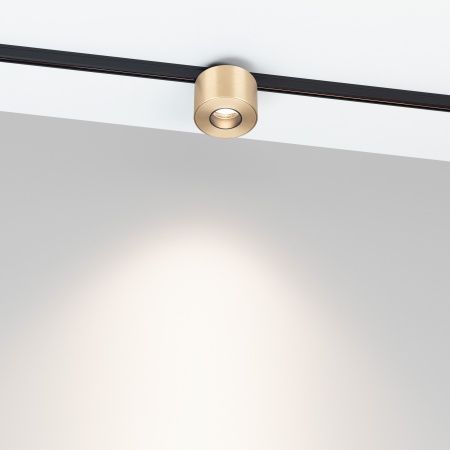 Светильник MAG-MICROCOSM-POINT-R60-5W Day4000 (BR, 36 deg, 24V) (Arlight, IP20 Металл, 3 года)