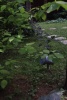 Ландшафтный светильник для подсветки деревьев 5781