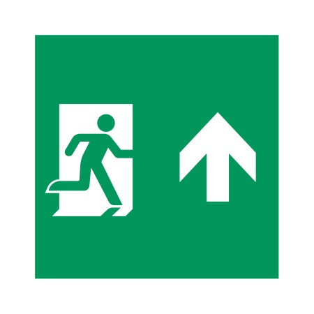 Пиктограмма EMGP-MARK-MA-UP (Человек, Вверх) (Arlight, Пластик)