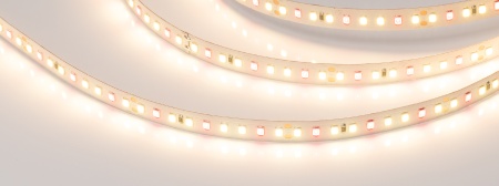 Лента FITOLUX-A144-10mm 24V Warm3000-Red (14 W/m, IP20, 2835, 5m) (Arlight, Открытый) Лента FITOLUX-A144-10mm 24V Warm3000-Red (14 W/m, IP20, 2835, 5m) (Arlight, Открытый)