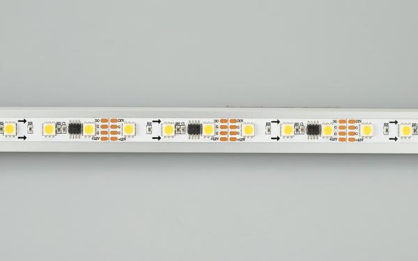 Лента SPI-5000-AM 12V White6000 (5060, 60 LED/m, x3) (Arlight, Открытый, IP20)